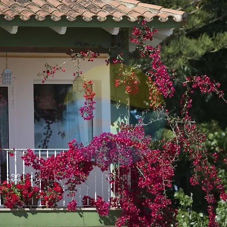 Riuebre - 11 Personas Con Piscina Y Vistas Al Rio Ebro - Deltavacaciones Holiday home *